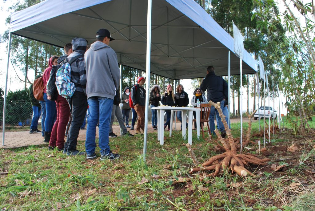 Equipe Phenoglad Participa Do Iii Dia De Campo Alternativas De