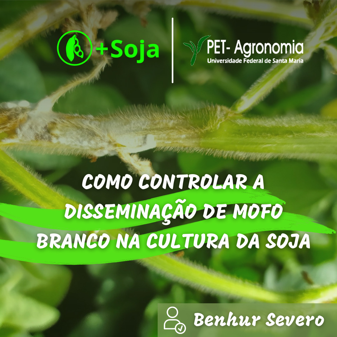 Como controlar a disseminação de Mofo branco na cultura da da soja