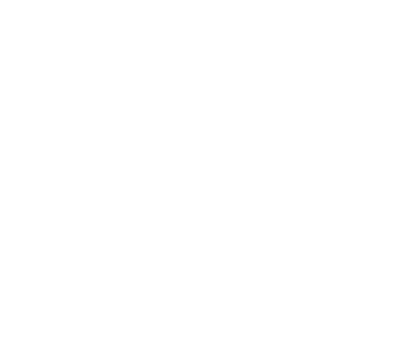 Imagem do selo comemorativo dos 60 anos de UFSM.