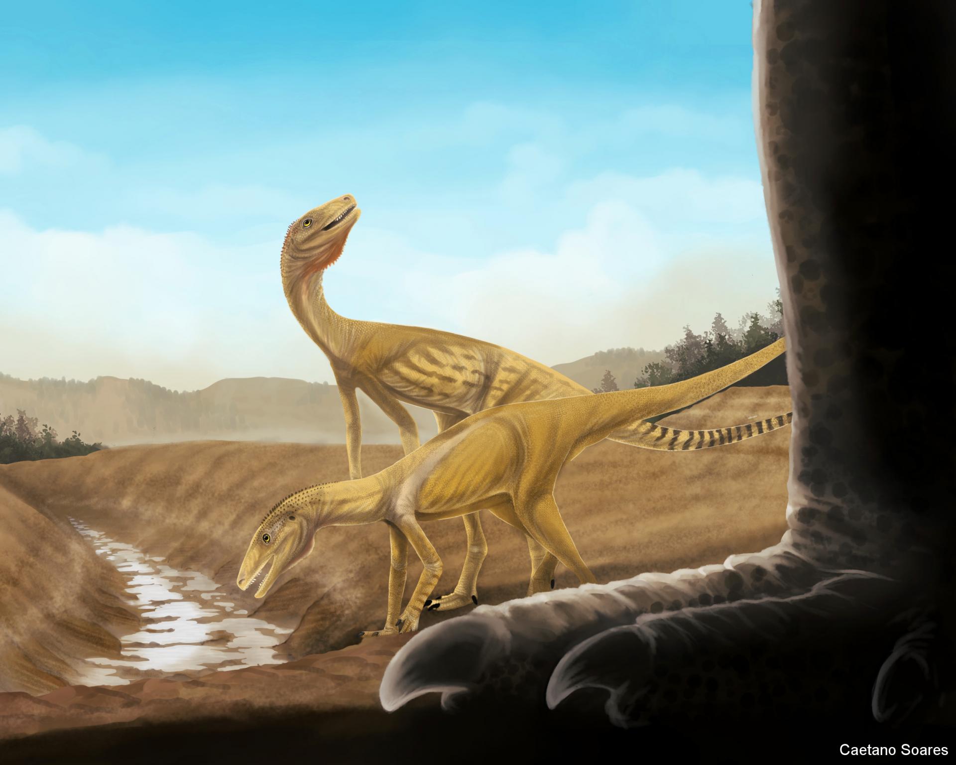 Ilustração de dois dinossauros que bebem água em um córrego. No canto direito e em primeiro plano, o pé gigante de outro dinossauro