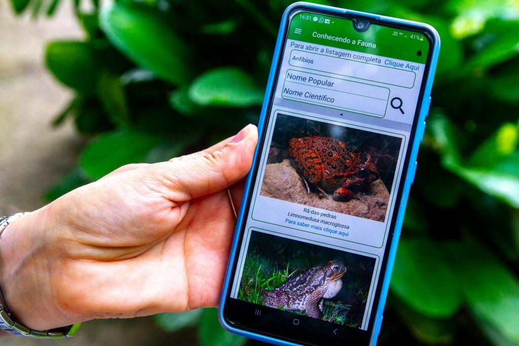 Foto colorida horizontal de mão segurando um celular com a tela em um aplicativo que mostra a imagens e informações de dois sapos. Atrás da mão e do celular, uma planta