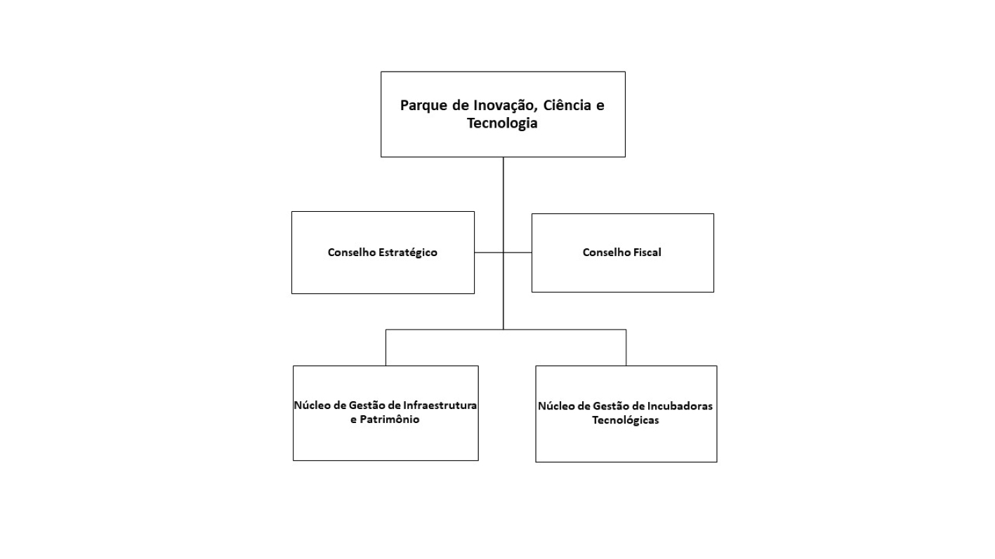 Organograma do Parque de Inovação, Ciência e Tecnologia da Universidade Federal de Santa Maria (PICT-UFSM)