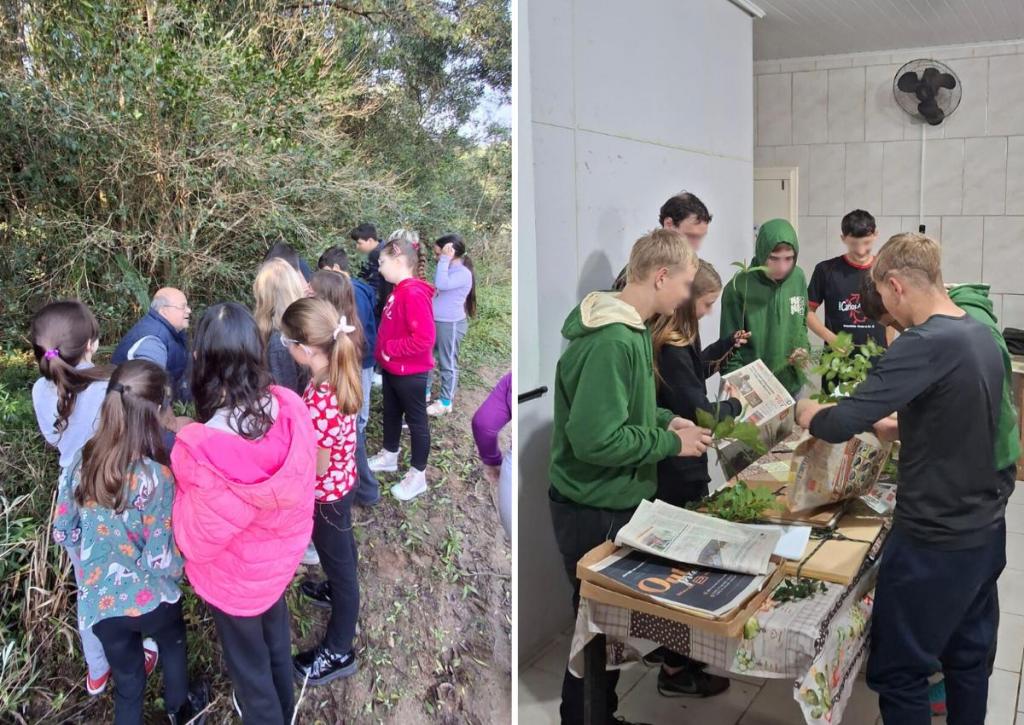 Duas fotos coloridas de ações de extensão em escolas de Paraíso do Sul. Na imagem da esquerda, estudantes aparecem em visita de campo. Na imagem da direita, estudantes sobre uma mesa mexem em plantas.