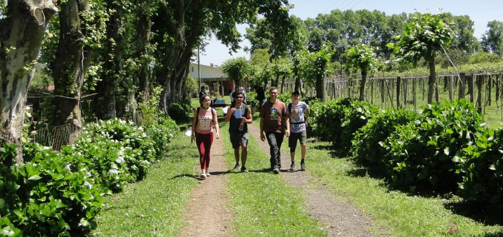 Foto colorida de pessoas caminhando em paisagem rural de Itaara