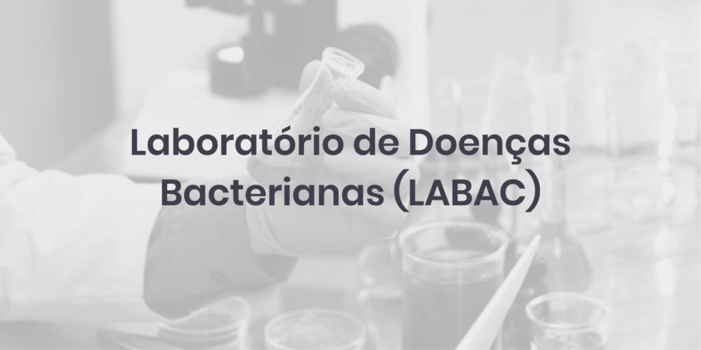 Laboratório de Doenças Bacterianas (LABAC)