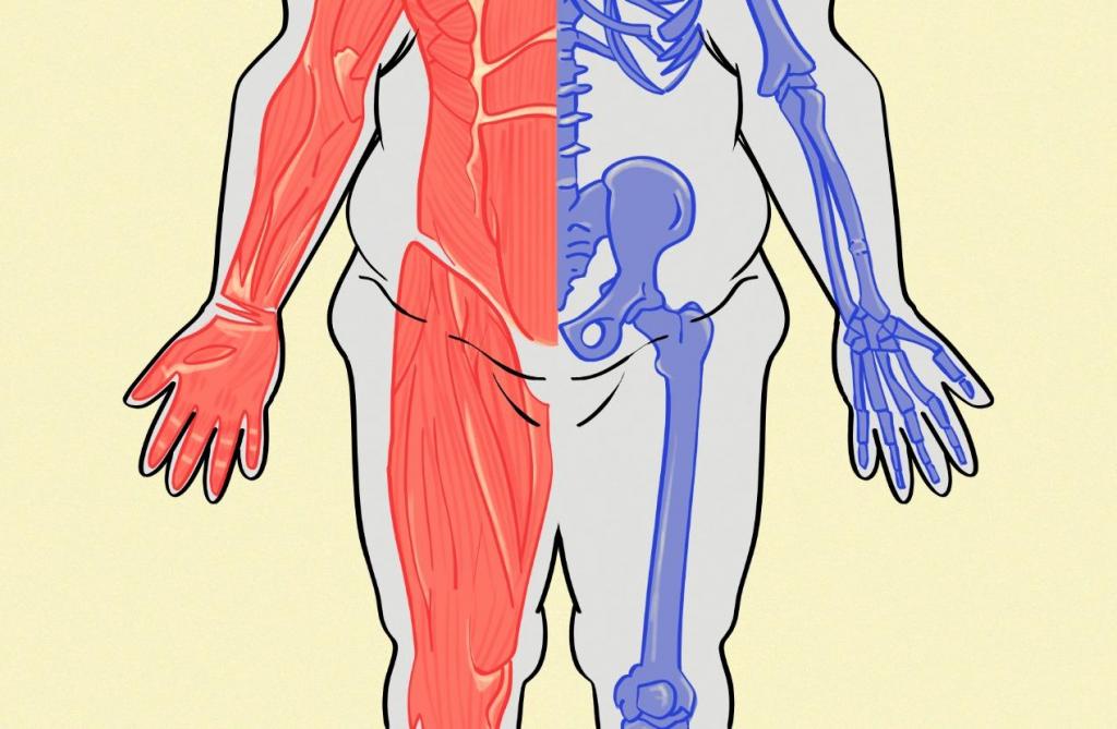 Desenho de Corpo Inteiro Médica