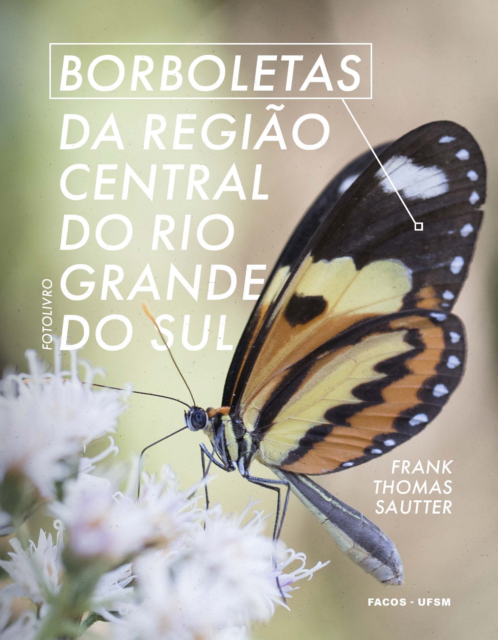 Capa do livro Borboletas da região central do Rio Grande do Sul