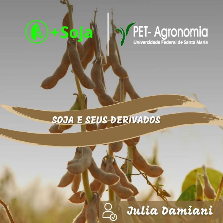 Soja E Seus Derivados Pet Agronomia