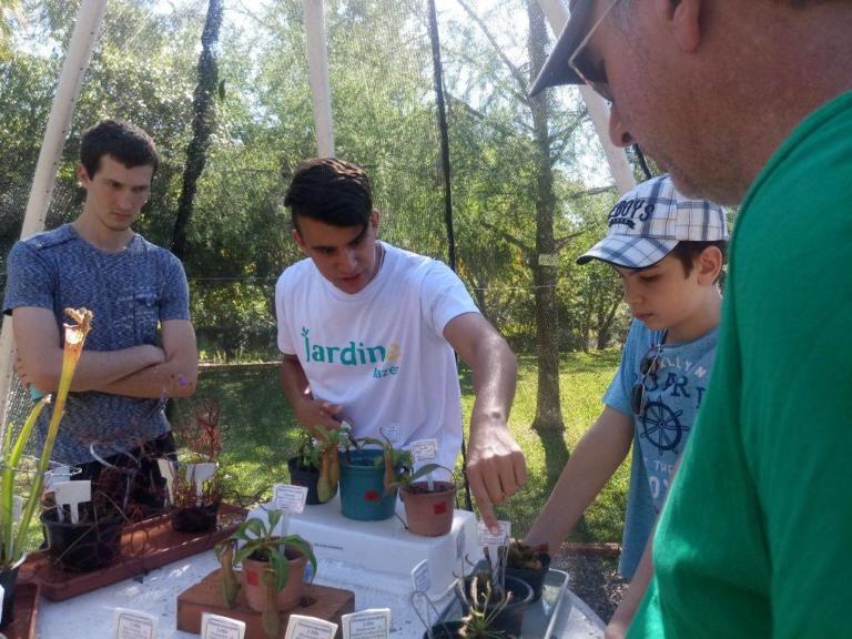 Quatro pessoas em torno de uma mesa cheia de mudas de plantas